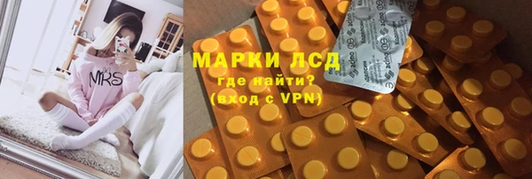 индика Алексин