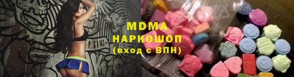 индика Алексин
