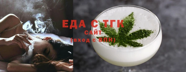 индика Алексин