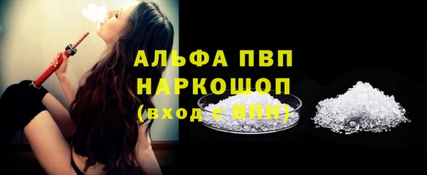 индика Алексин