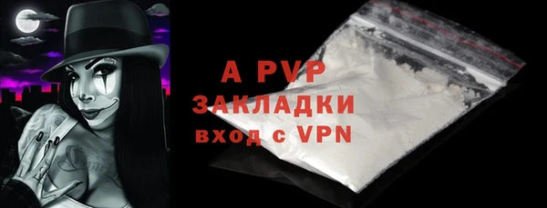 индика Алексин