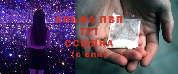 индика Алексин