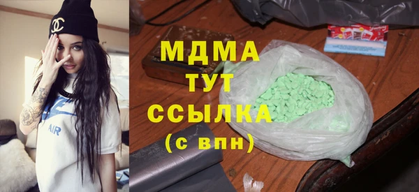 индика Алексин