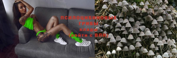 индика Алексин