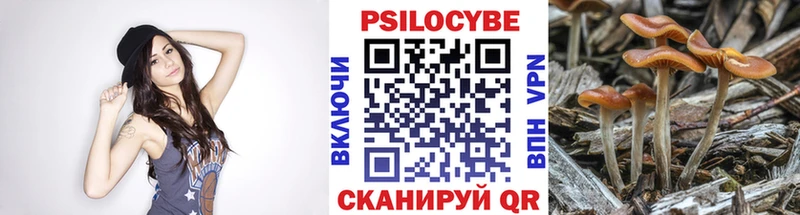 Галлюциногенные грибы мицелий  Новоульяновск 